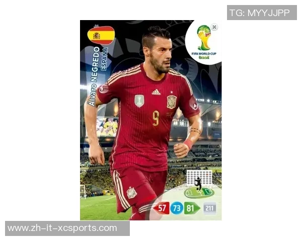 梅林球星卡足球：全面解析梅林系列卡片的收藏价值与投资潜力